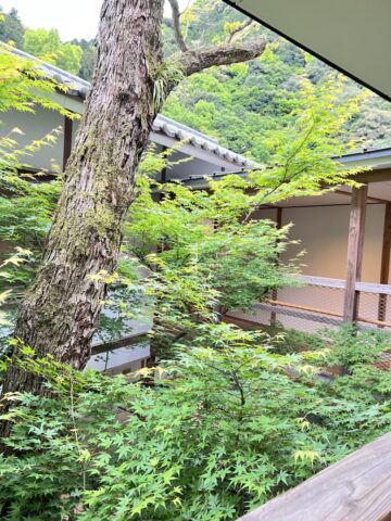 椎葉山荘