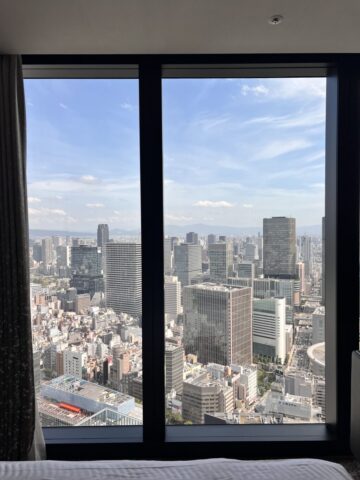THE OSAKA STATION HOTEL
