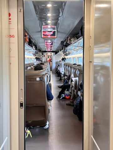 iryo train
